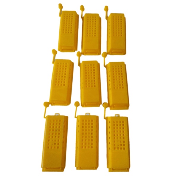 Butler Queen Cage - Pack of 9 - End of Line