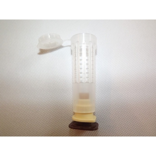Nicot Cell Bar Blocks x 10