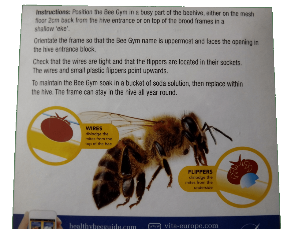 Bee Gym - Varroa control