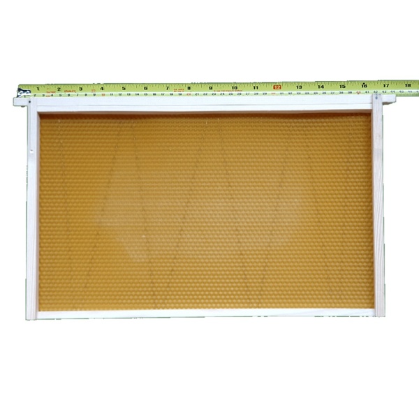 Commercial Brood Foundation - Wired x 10